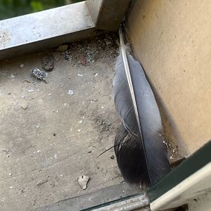 优娜封神三部曲是哪三部
